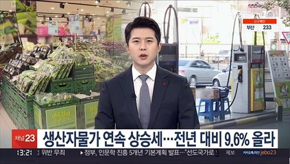 [경제읽기] 생산자물가 연속 상승세…전년 대비 9.6% 올라
