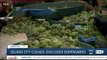 Delano City Council discusses changing ordinance that bans Cannabis business