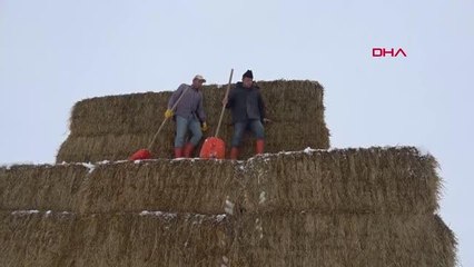 KONYA'DA KAR YAĞIŞI ÇİFTÇİNİN YÜZÜNÜ GÜLDÜRDÜ
