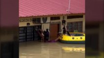 Rescatan una camada de gatos en las inundaciones de Malasia