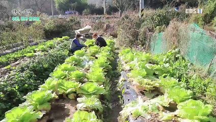 한국기행 - Korea travel_우리, 이사 왔어요 2부- 헌집 줄게, 우리집 다오_#002