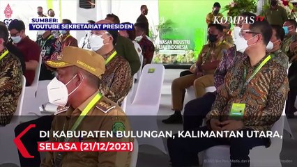 Jokowi Perintahkan Luhut, Izin Usaha di Kawasan Industrial Park Indonesia Selesai Dalam Hitungan Jam