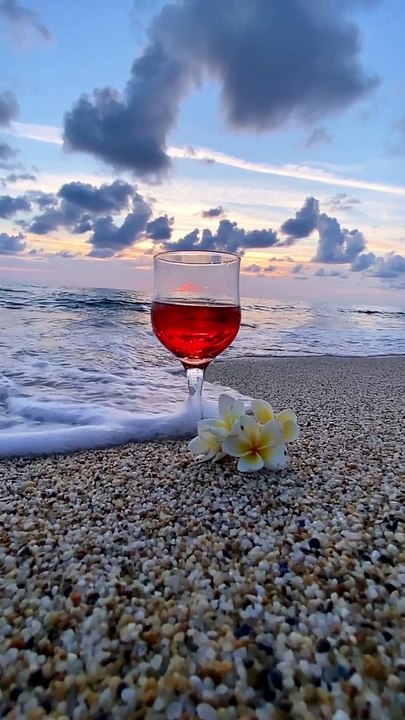 Good evening❤️Happy