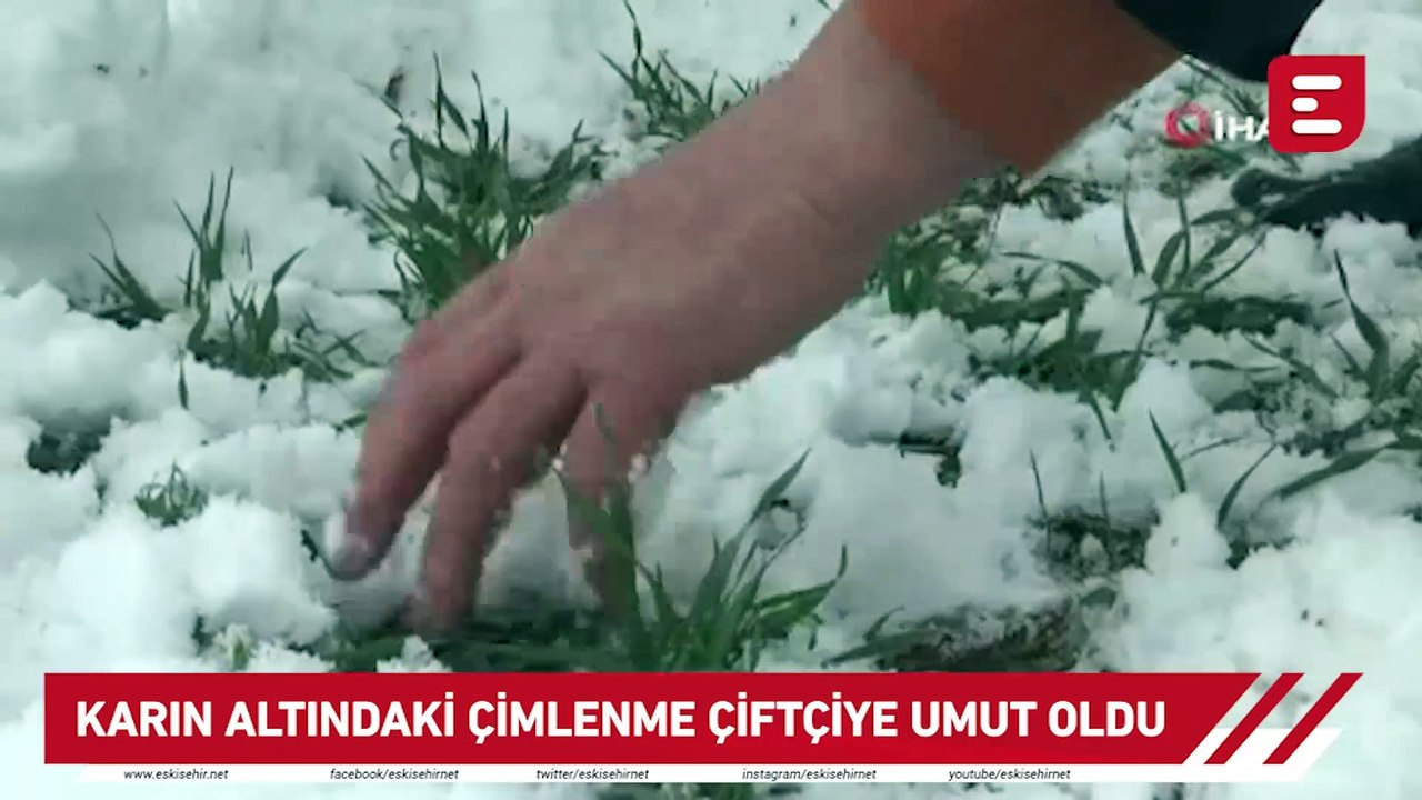 Karın altındaki çimlenme çiftçiye umut oldu