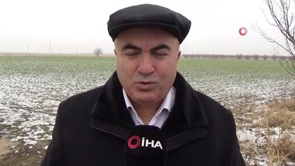 Karaman'daki son yağışlar çiftçiyi sevindirdi