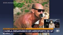 Uma cachorra desapareceu durante uma conexão no aeroporto de Guarulhos em SP. A companhia informou que a cadela rompeu a caixa onde era transportada. O dono contesta a versão e não descarta a possibilidade do animal ter sido roubado.