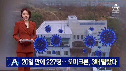 20일 만에 227명 확진…오미크론, 델타보다 3배 빨랐다