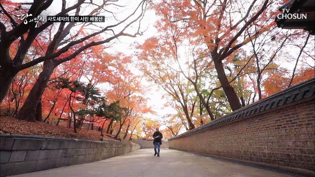 중년을 넘긴 나이에 후사가 끊긴 정조의 선택 TV CHOSUN 211221 방송