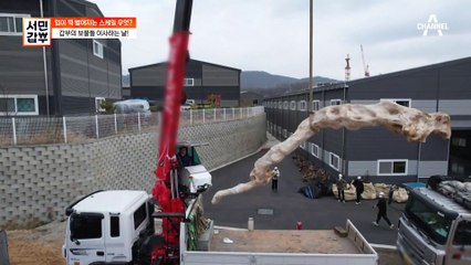 고목 값만 10억 원?! 수족관만 관리하는 것이 아니다? 입이 떡 벌어지는 스케일!