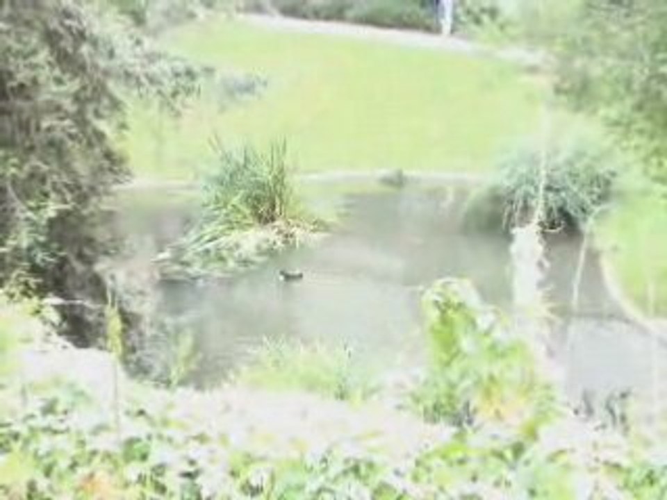 RETOUR AU PARADIS (Princesse Narcose) - Ernest Van-Mohr