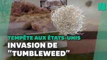 Au Colorado, les rues sont envahies par les tumbleweed après la tempête de poussière