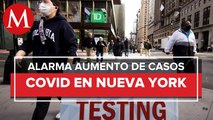 Nueva York se acerca a los 30 mil contagios por covid-19 con cifras récord de infecciones