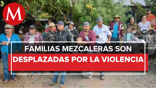 Desenas de familias mezcaleras han sido desplazadas por la inseguridad en Guerrero