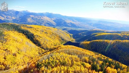 قصص الصالحين، لزيادة الإيمان [ صفة الصفوة ] الجزء الثاني