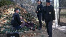 FEMME ACTUELLE - Un acteur de la série NCIS arrêté en plein tournage pour complicité d’homicide volontaire après la mort de deux femmes