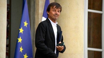 FEMME ACTUELLE - Nicolas Hulot accusé d'avoir eu "la grosse tête" par ses anciens collègues du gouvernement