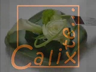 Vidéo publicitaire Calixte à Périgueux