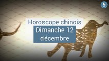 FEMME ACTUELLE - Horoscope chinois du jour du dimanche 12 décembre 2021, Cheval de Bois