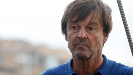 FEMME ACTUELLE - Nicolas Hulot accusé de viol : que contient le reportage d'"Envoyé Spécial" diffusé sur France 2 ?