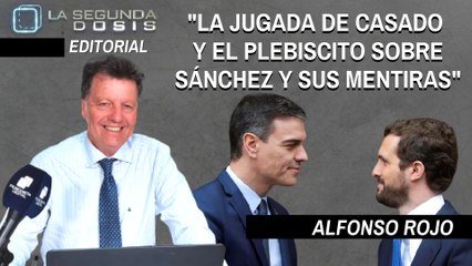 Alfonso Rojo: “La jugada de Casado y el plebiscito sobre Sánchez y sus mentiras”