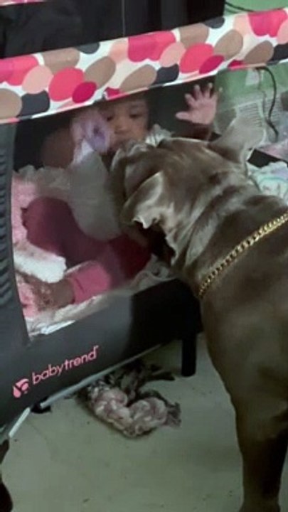 Dog try kiss the baby in his bed room