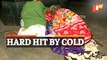 Cold Wave Sweeps Odisha | Homeless Suffer