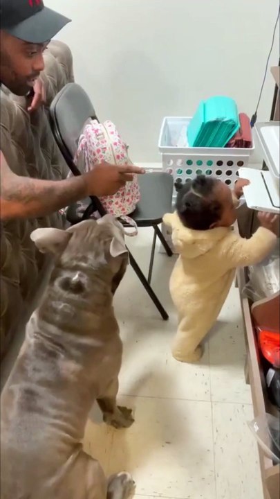 Dog ready for attack if DAD punish the baby