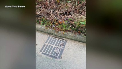 Tenterden resident spots sewage leak