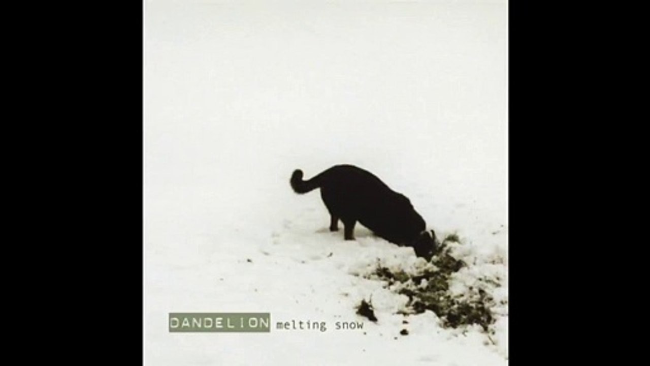 dandelion - mellow b