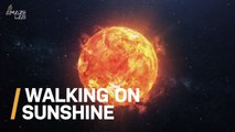 Wow! Insane Solar Timelapse Shows What Life Would Be Like on the Sun