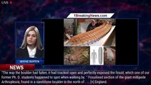 Car-Sized Fossil Millipede Is Largest-Known Invertebrate Animal Of All Time - 1BREAKINGNEWS.COM