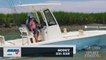 2022 Fishing Boat Buyers Guide: Scout 231 XSB