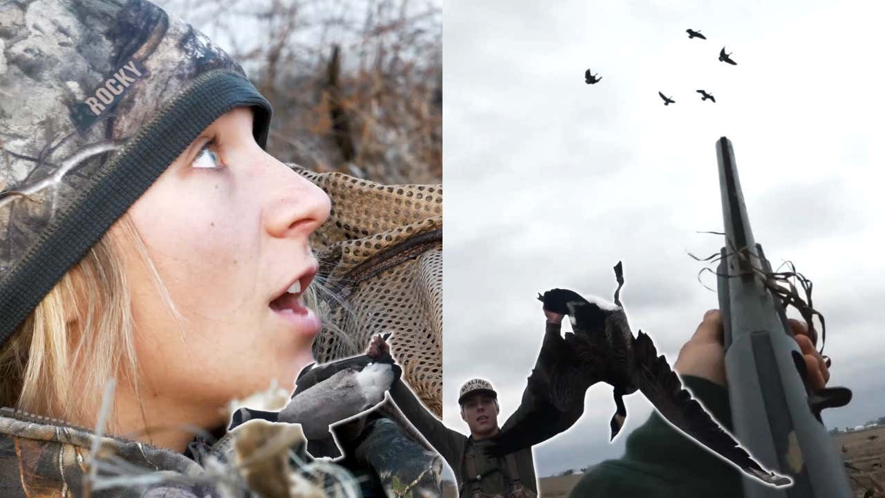 Knocking Geese From the Sky