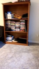 Mya the German Shepherd Unusually Sits