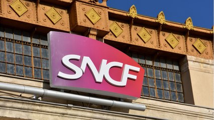SNCF : 10 heures de retard, le chemin de croix des passagers d'un Paris-Dax
