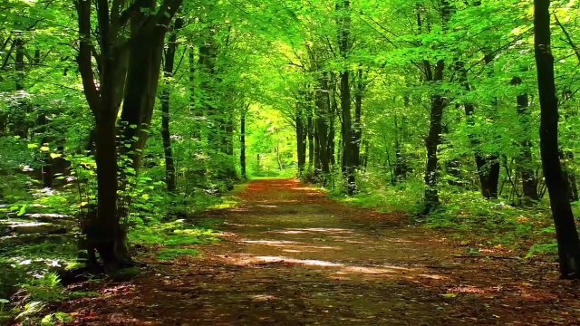 The sounds of waterfalls and wonderful piano music with the most beautiful landscapes, meditation and relaxation