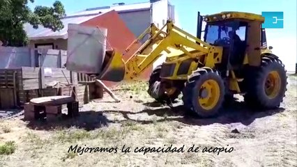 Emocionante: la historia del platense que ayudó a la loba de mar varada en Bahía San Blas