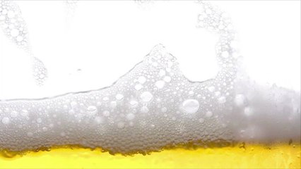 Anheuser-Busch InBev Wants to Turn Its Spent Grains into Plant-Based Protein
