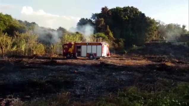 Bombeiros controlam incêndio em vegetação no Bairro Cancelli