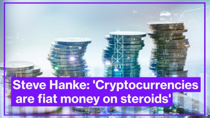 Steve Hanke: 'Cryptocurrencies are fiat money on steroids'