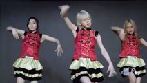 【DANCE COVER by JKT48】 AKB48 TEAM SH千秋令翻跳