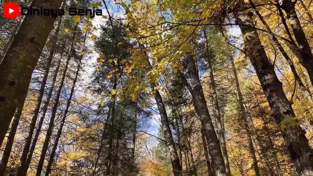 (Cover|Lirik) Yang Terdalam (Noah) - Ummima Khusna - Video Lyrics