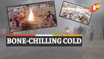 Odisha Weather Update: Intense Cold Wave To Prevail Over Several Districts In Next 48 Hours