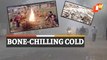 Odisha Weather Update: Intense Cold Wave To Prevail Over Several Districts In Next 48 Hours
