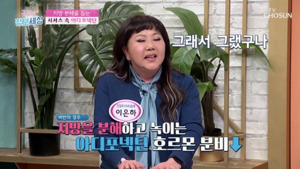 만족감+포만감 UP! 행복한 다이어트에 도움 주는 효자템 TV CHOSUN 211222 방송