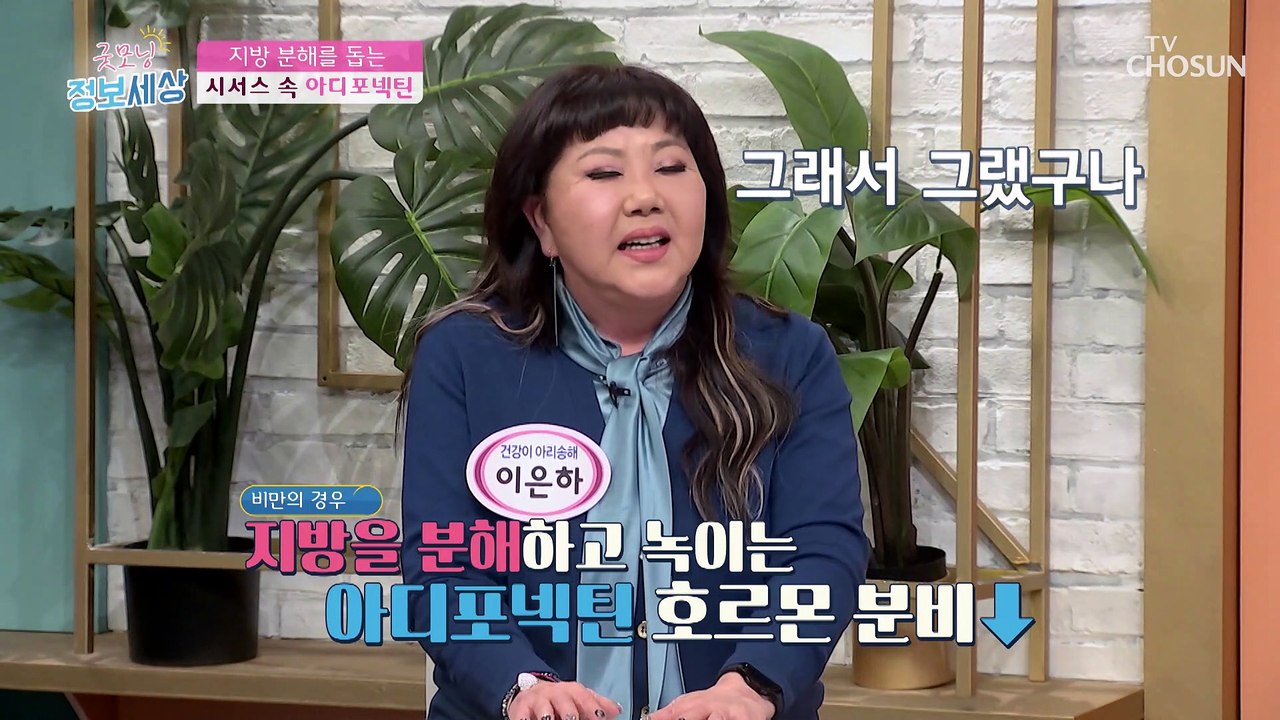 만족감+포만감 UP! 행복한 다이어트에 도움 주는 효자템 TV CHOSUN 21122...