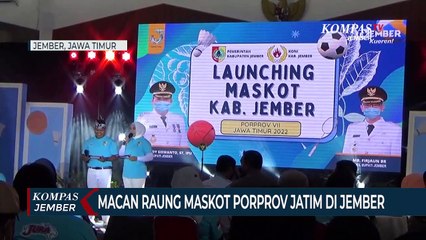 Si Jura, Macan Raung Yang Jadi Maskot Kabupaten Jember di Porprov 2022
