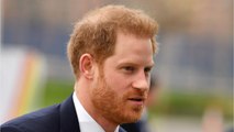 FEMME ACTUELLE - Prince Harry : son secret pour éviter de ressembler à William et lutter contre la calvitie