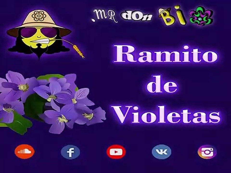 Ramito de Violetas
