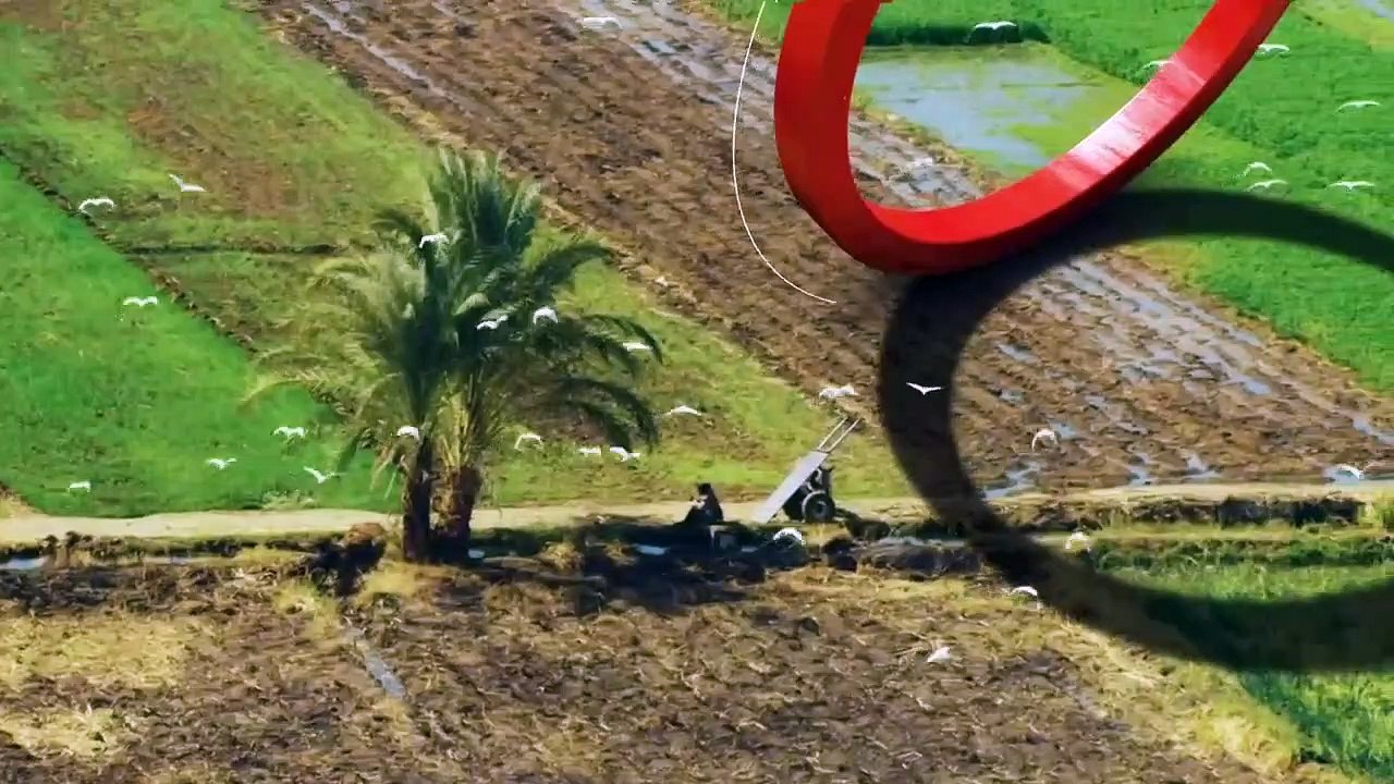 ...الدعم الحالية تعد ظالمة لبعض الفئات الأك...